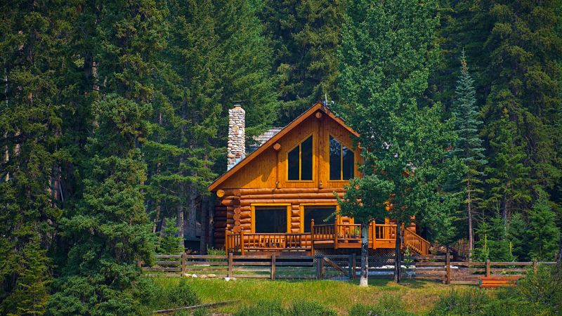 Wood Cabin Staining